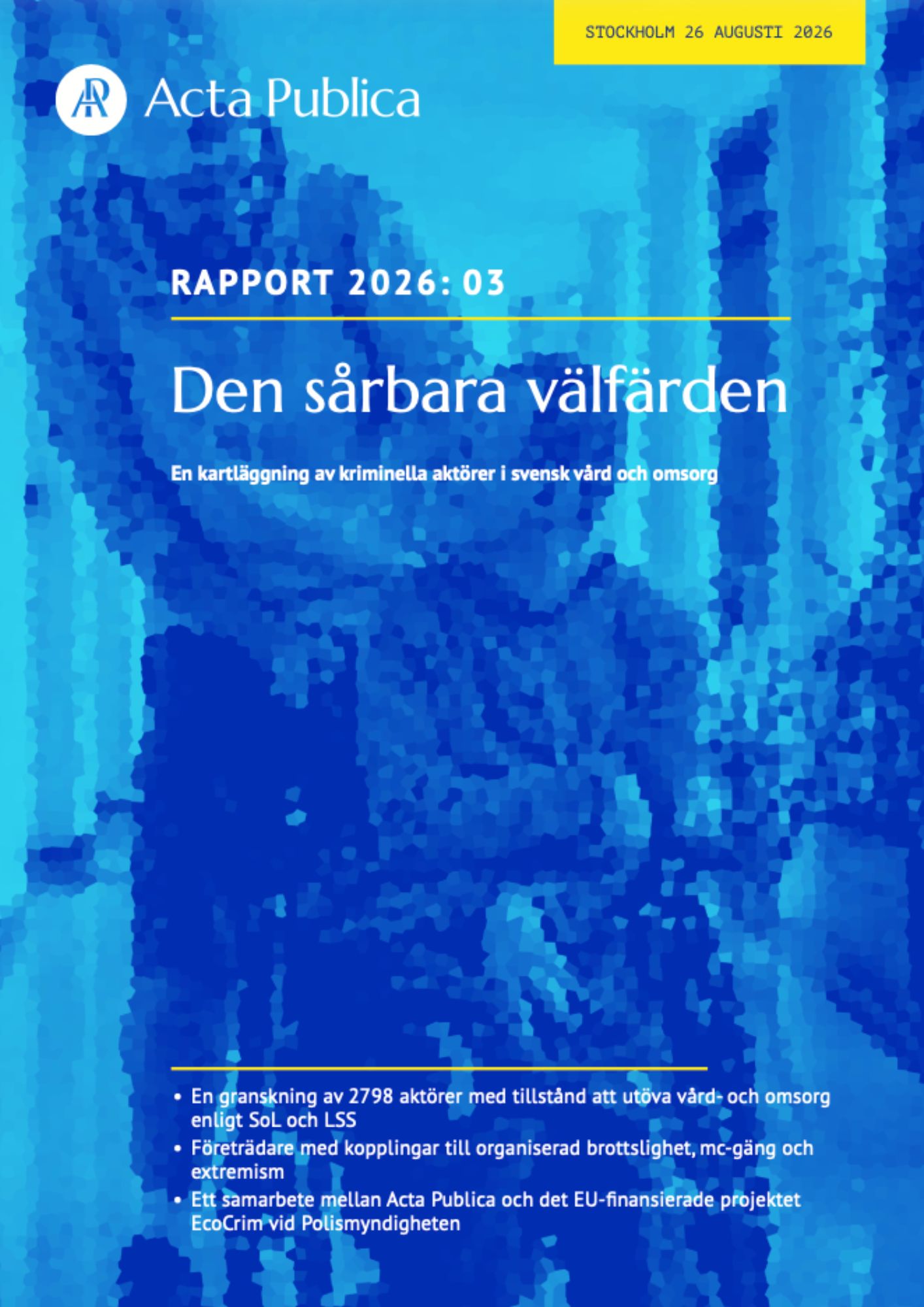Den sårbara välfärden